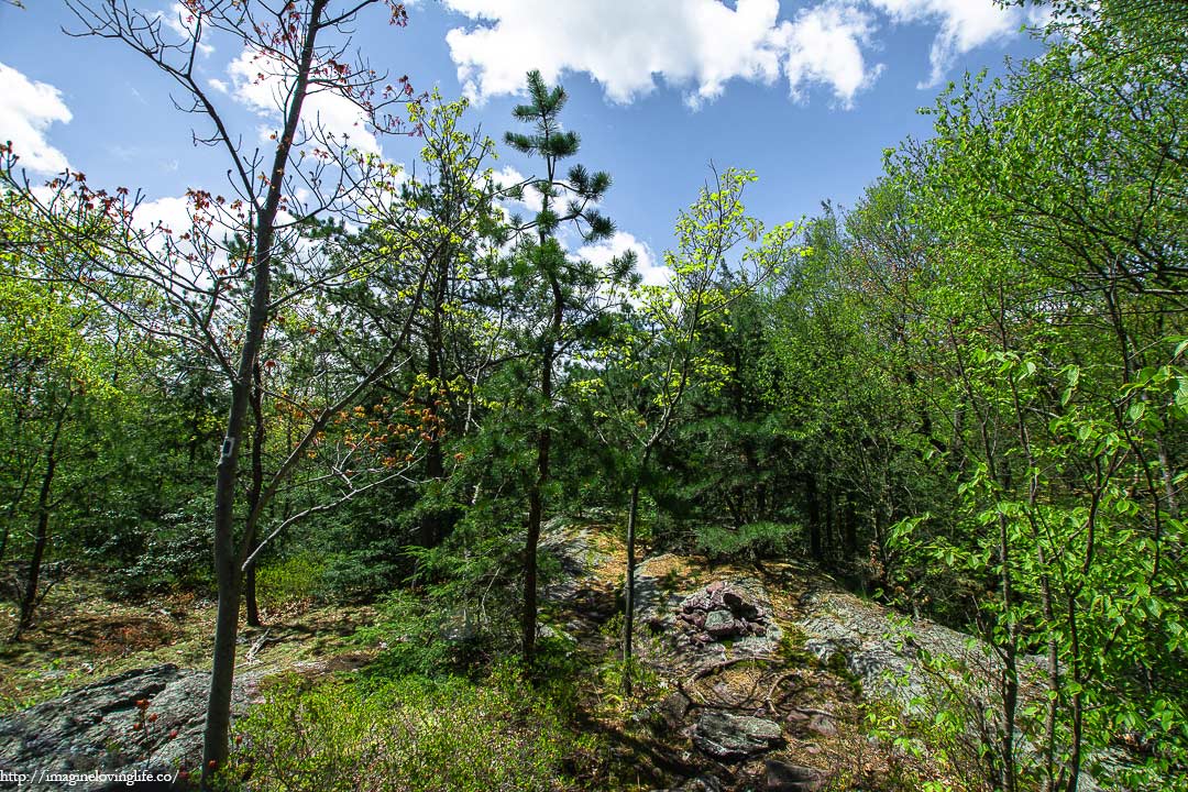 blue trail descent